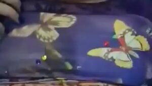 مصرية فاجرة تتناك وهي بتكلم خطيبها في التلفون سكس مصري